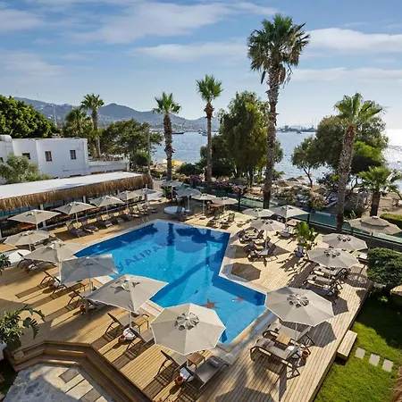 Anemon Kent فندق 4*