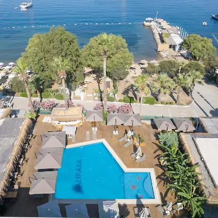 Anemon Kent 4* Трабзон