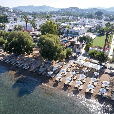 Отель Anemon Kent 4*