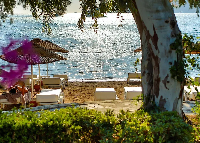 Anemon Kent Отель Трабзон