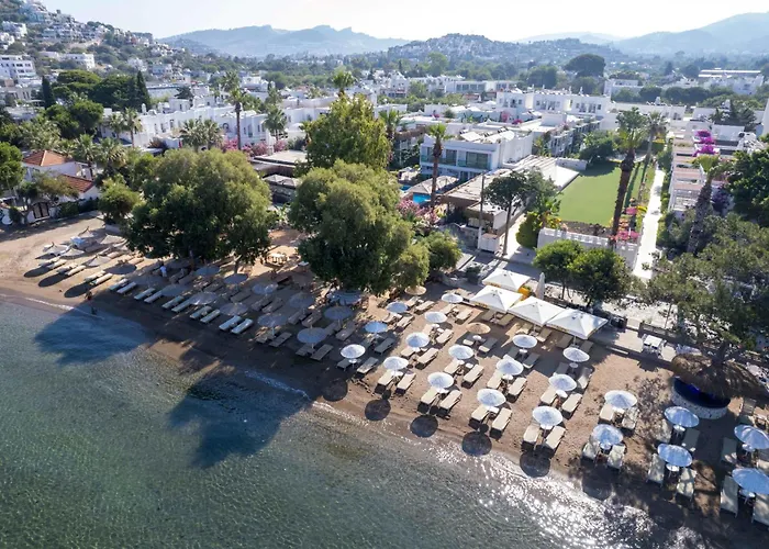 Отель Anemon Kent 4*