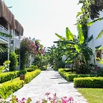 Hotel Anemon 4*