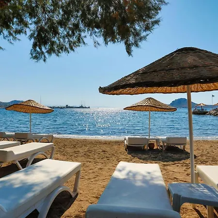 Anemon Kent فندق 4*