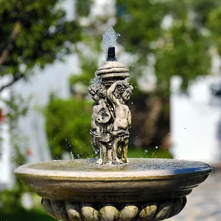 Anemon Kent 4* 트라존