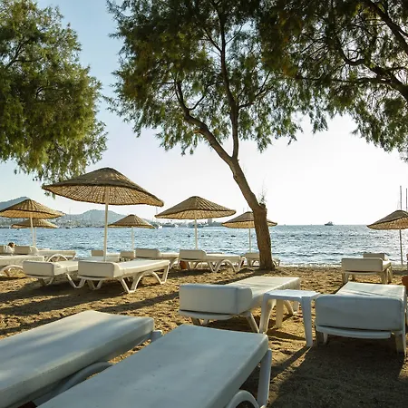 호텔 Anemon Kent 4*