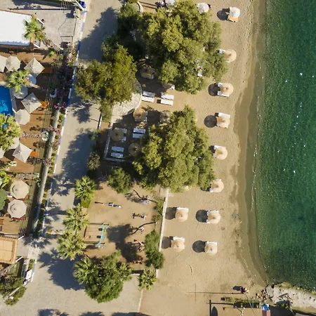 호텔 Anemon Kent 트라존