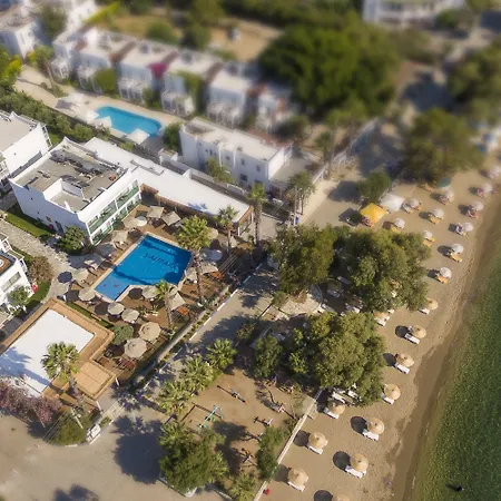 Hotel Anemon