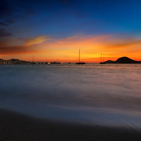 Anemon Kent 트라존