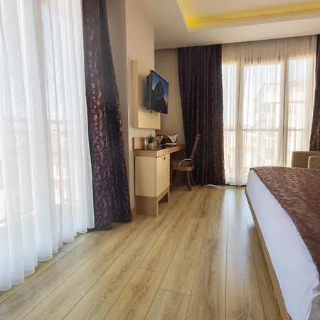 Anemon Kent 特拉布宗