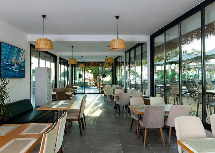 Anemon Kent 特拉布宗