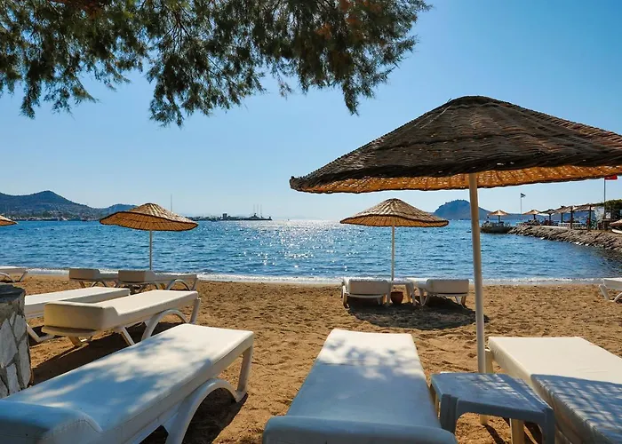 Anemon Kent Hotel 4*