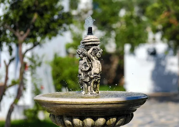 Anemon Kent 4* 特拉布宗