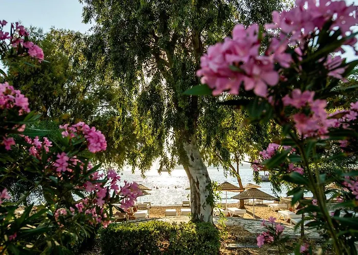 酒店 Anemon Kent 特拉布宗