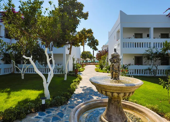 Anemon Kent 特拉布宗