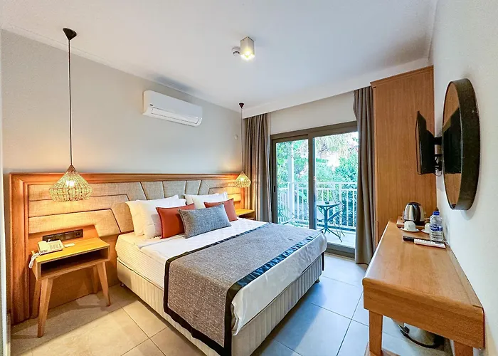 Anemon Kent 特拉布宗