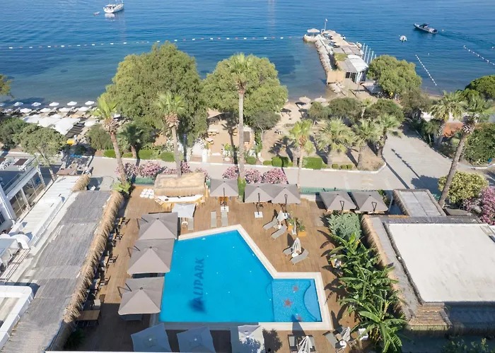 Anemon Kent 4* 特拉布宗