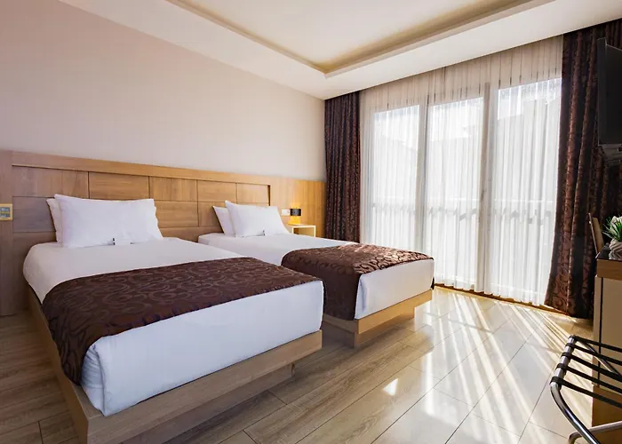 Anemon Kent 特拉布宗