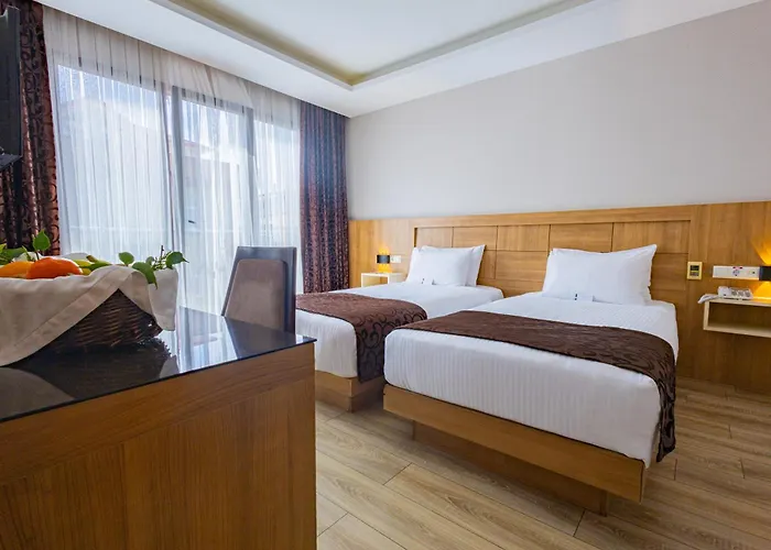 Anemon Kent 特拉布宗