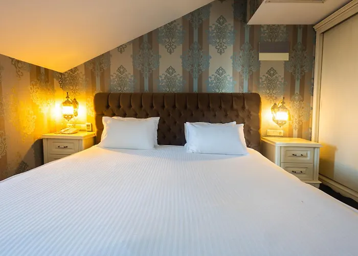 酒店 Anemon Kent 4*