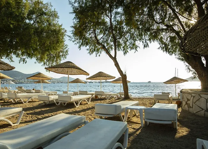 Hotel Anemon Kent 4*