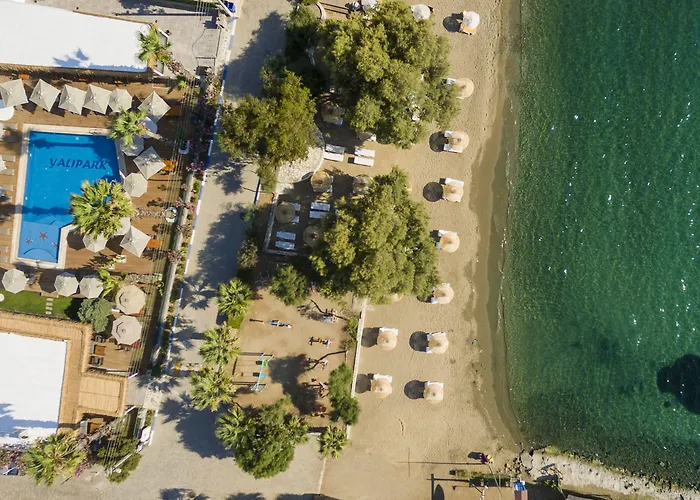 酒店 Anemon Kent 特拉布宗