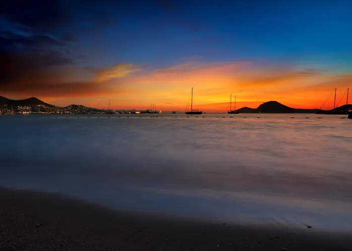 Anemon Kent 特拉布宗