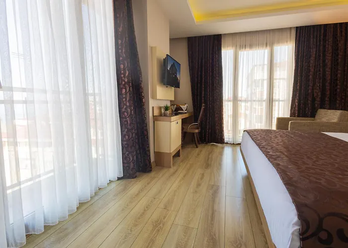 Anemon Kent 特拉布宗